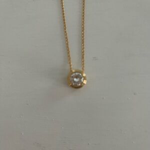 Touchstone Crystal Swarovski Clear Ice Goldtone Necklace